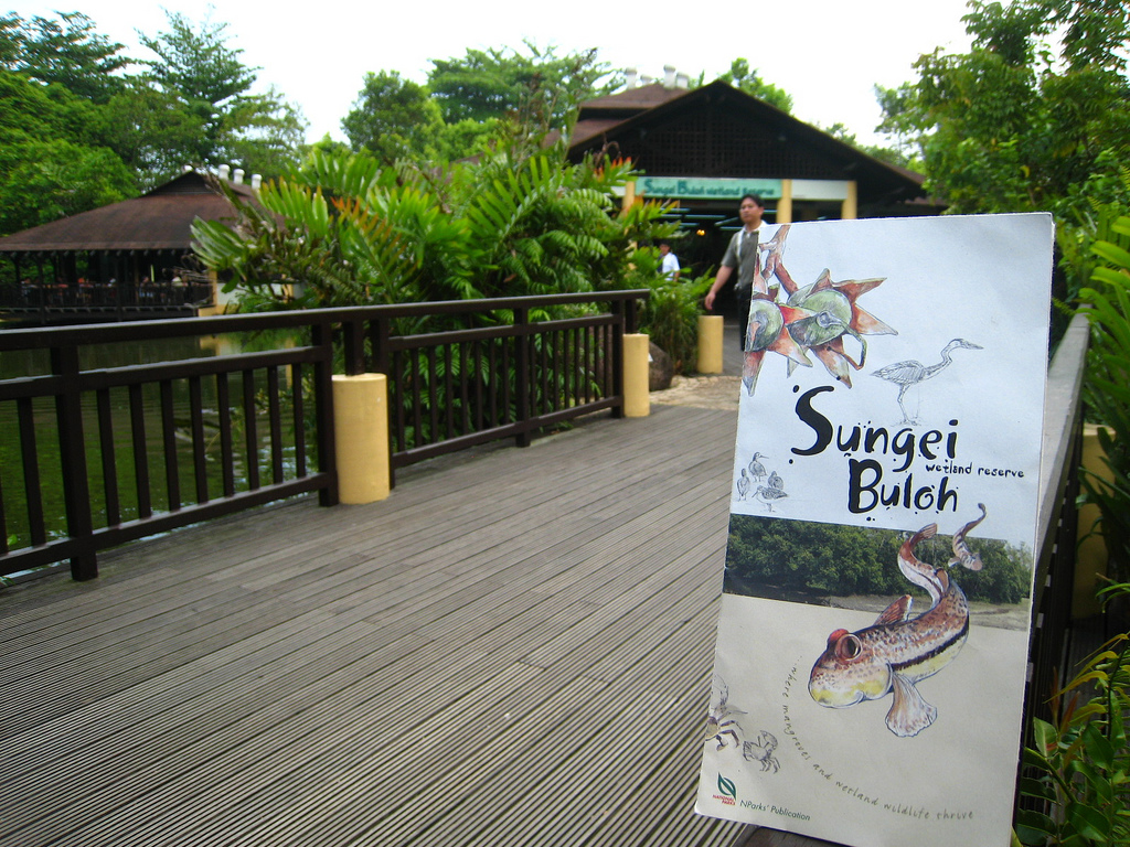 Images of Sungei Buloh Wetland Reserve
